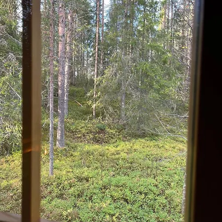Charming Log Chalet, Yllaes, Wifi, 400m To Restaurants *